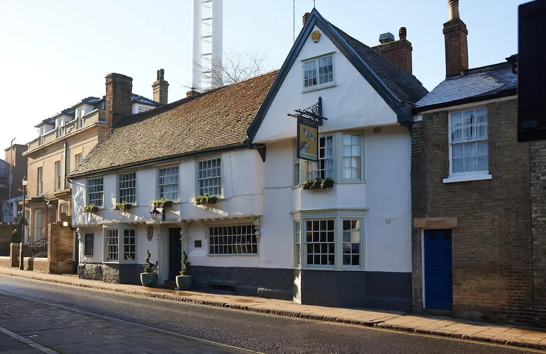 Dog And Partridge By Greene King Inns-1